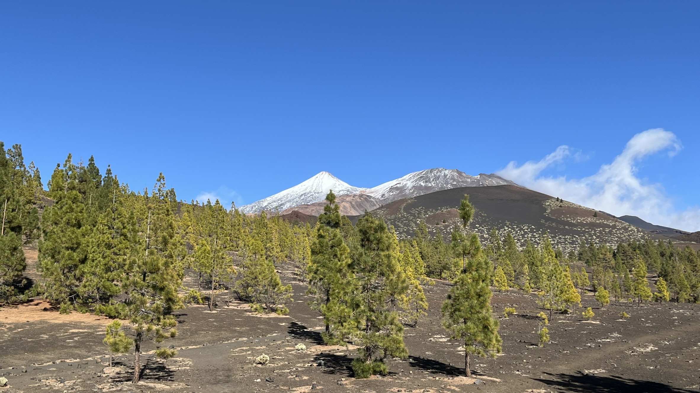 Zasněžené Teide